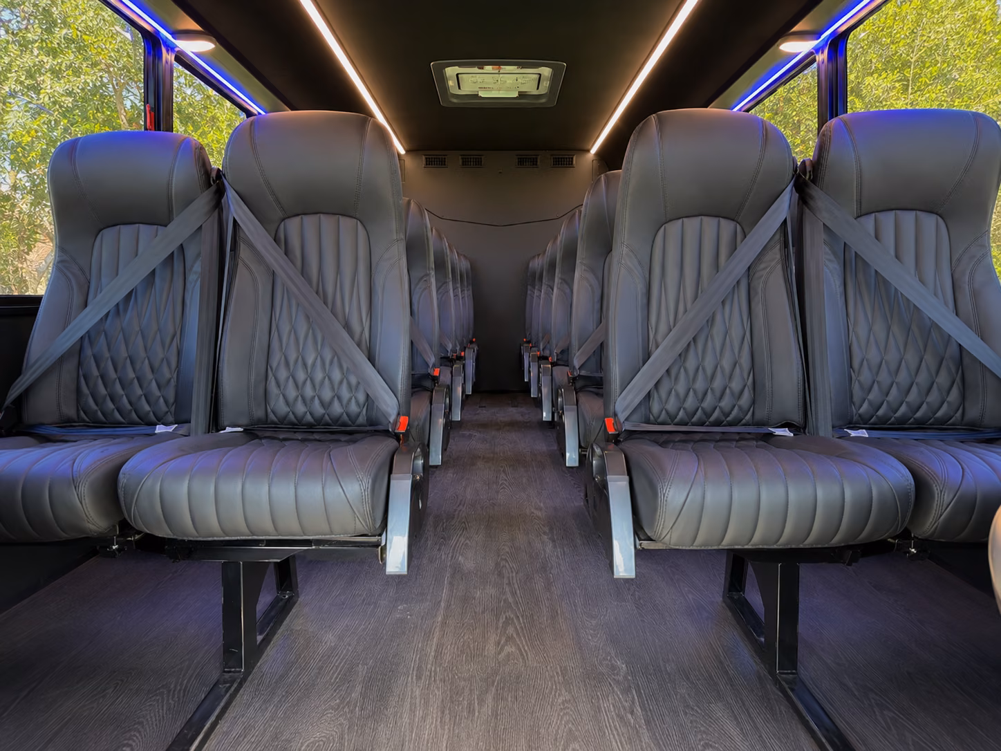 charter buses to red wings lions and tigers games from westland